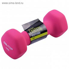 3853231 Гантель неопреновая 1 кг