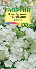 Флокс друммонда Очарование БЕЛОЕ