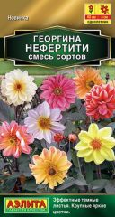 Георгина Нефертити Аэлита