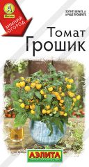 Томат Грошик Аэлита комнатный
