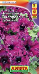 Фриллитуния Экспресс Рубиновая Аэли