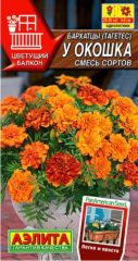 Бархатцы У Окошка