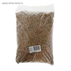 3439417 Семена Рожь 1кг