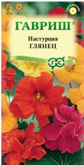 Настурция Глянец Гавриш