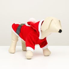 6980864 Толстовка Santa, M (ДС 30, ОГ 40 см)