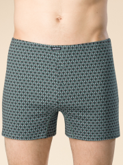 MUB6923 Трусы мужские Зеленый(12) Pelican