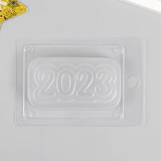9163909 Пластиковая форма 