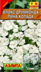 Флокс друммонда Пина Колада Аэлита