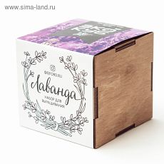 4300481 Экокуб LITE набор для выращивания "Лаванда"