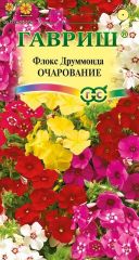 Флокс друммонда Очарование СМЕСЬ