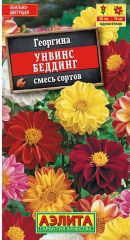 Георгина Унвинс Беддинг