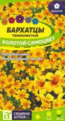 Бархатцы Золотой Самоцвет Сем.Алтая