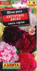 Шток-роза Цветочное Диско смесь