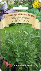 Шалфей овощной Нектар
