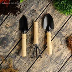1005012 Набор садового инструмента, 3 предмета: рыхлитель, 2 совка, длина 20 см, деревянные ручки