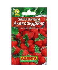 Земляника Александрина