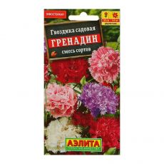3975933 Семена цветов Гвоздика садовая 