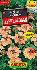 Вербена Абрикосовая Аэлита