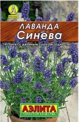 Лаванда Синева лидер Аэлита