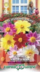 Георгина Чародейка