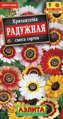Хризантема Радужная Аэлита