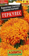 Бархатцы Геркулес Аэлита