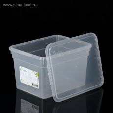 4258776 Контейнер для хранения с крышкой Basic, 5 л, 25×20×15,5 см, цвет прозрачный