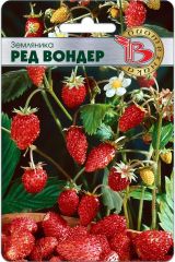 Земляника Ред Вондер