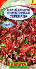 Девичий виноград Серенада