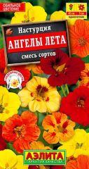 Настурция Ангелы Лета Аэлита