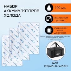 9654957 Аккумулятор холода, гелевый хладоэлемент для термосумки, 100 мл, до 20 ч, 3 штуки