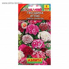 1314030 Семена цветов Гвоздика 