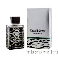 Fragrance World - Cavalli Silver, 100 ml