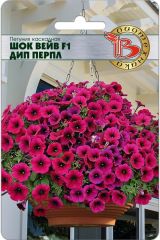 Петуния каскадная Шок Вейв F1 Дип Перпл