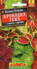 Колеус Блюме Крокодил Гена Аэлита