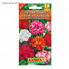 1314101 Семена комнатных цветов Пеларгония 