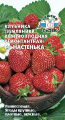 Клубника Настенька F1 СеДек