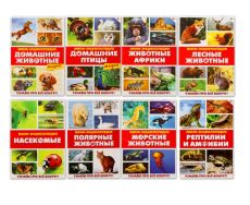 Мини-энциклопедии «Мир животных», 8 шт. по 20 стр. 4806600