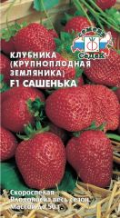 Клубника Сашенька СеДек