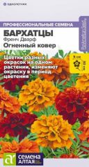 Бархатцы Френч Дварф Огненный Ковер