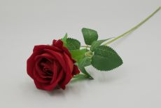 Одиночная роза бархатная 