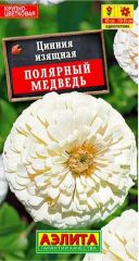 Цинния Полярный Медведь геор.Аэлита