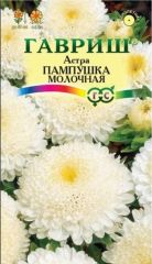 Астра Пампушка Молочная