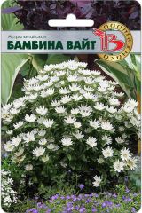 Астра китайская Бамбина Вайт