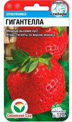 Клубника Гигантелла
