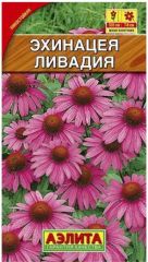 Эхинацея пурпурная Ливадия