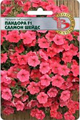 Петуния каскадная Пандора F1 Салмон Шейдс