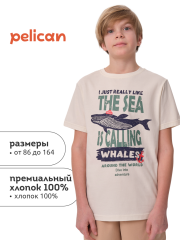 BFT3371 Футболка для мальчиков Молочный(28) Pelican