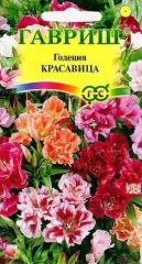Годеция Красавица