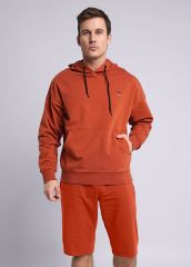 293978 CLEVER Шорты коричневый